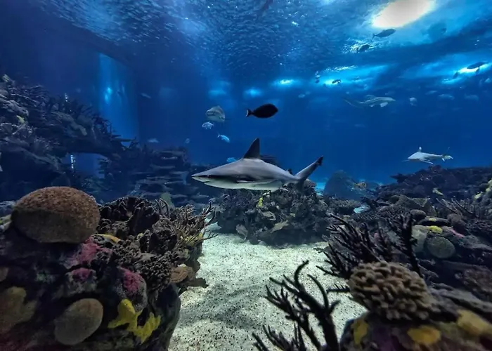 Apartamento 1-bedroom Flat With Terrace, Near Metro & Arena