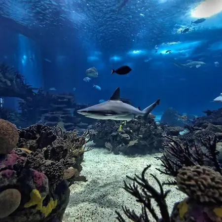 Apartment 1-Bedroom Flat With Terrace, Near Metro & Arena